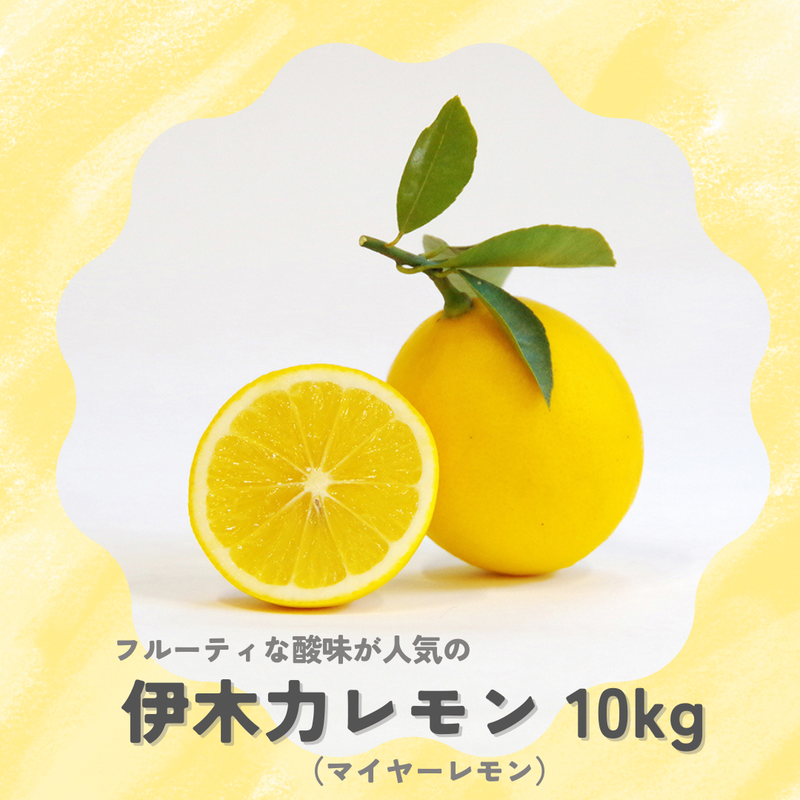 ☆商品一覧☆ | はなまる果樹園